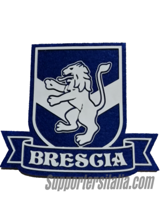 SUPPORTERSSiliconPatch6a7ab487feb2111fb9e68b91bd5e96ced81e91b5.png